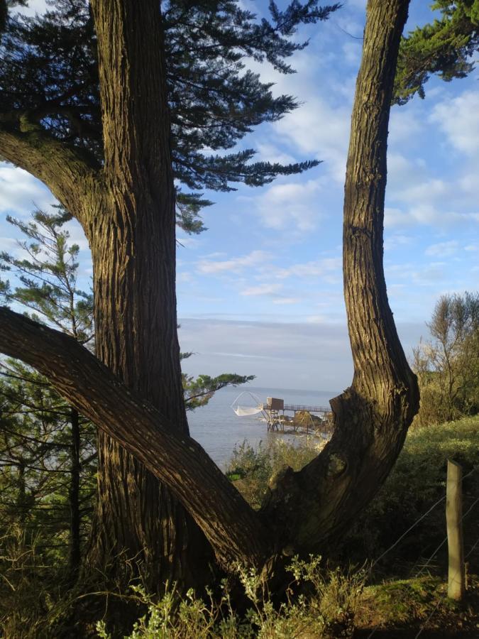 Hotel Particulier Le Rocher Des Marais "Proximite Plage & Vue Mer Pour Certains Hebergements" ポルニック エクステリア 写真